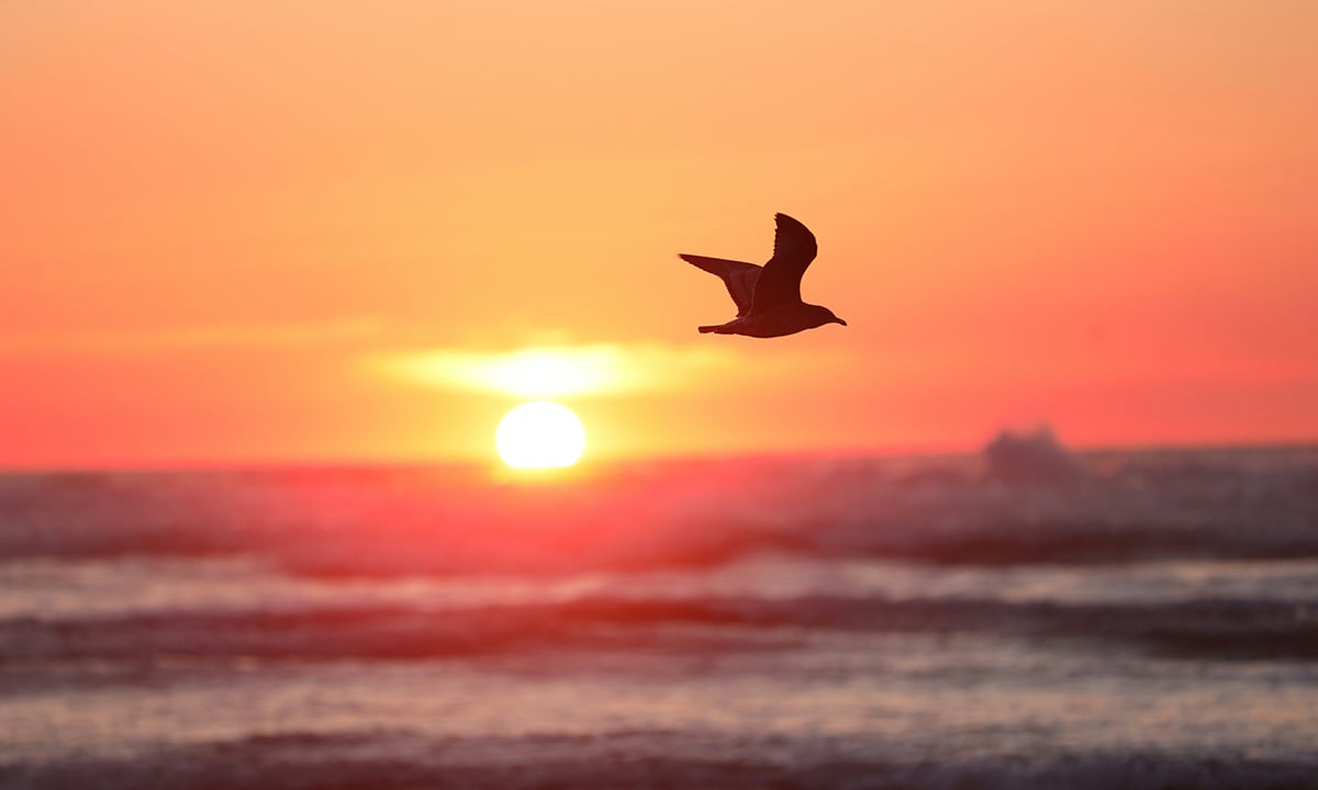 blake-cheek-cknkg0NERls-unsplash