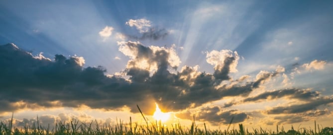 Sunrise, cloud, blue sky and grass.