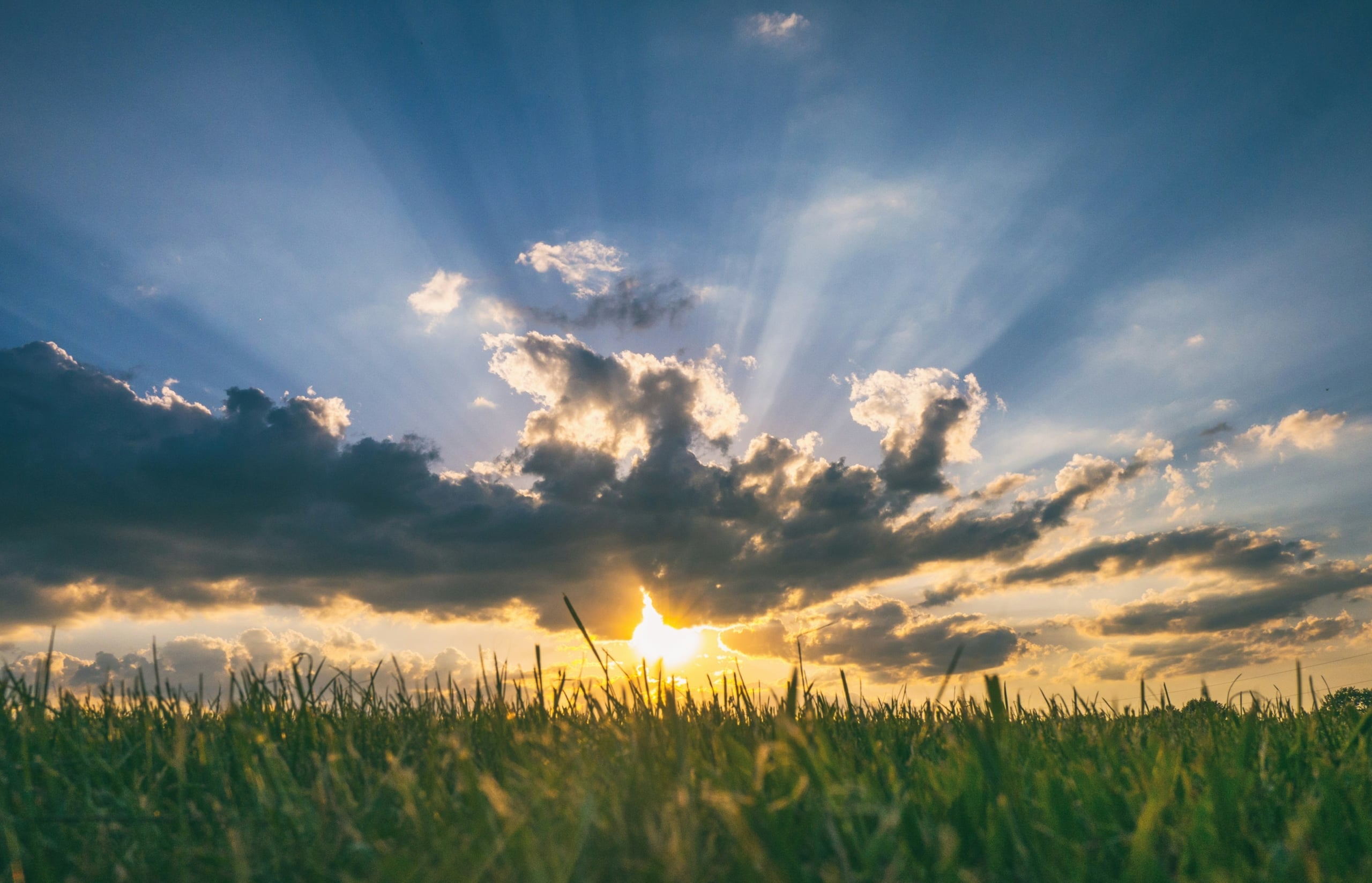Sunrise Sunrise, cloud, blue sky and grass.