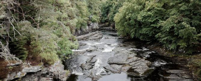 Mountain river flowing over rocks between trees