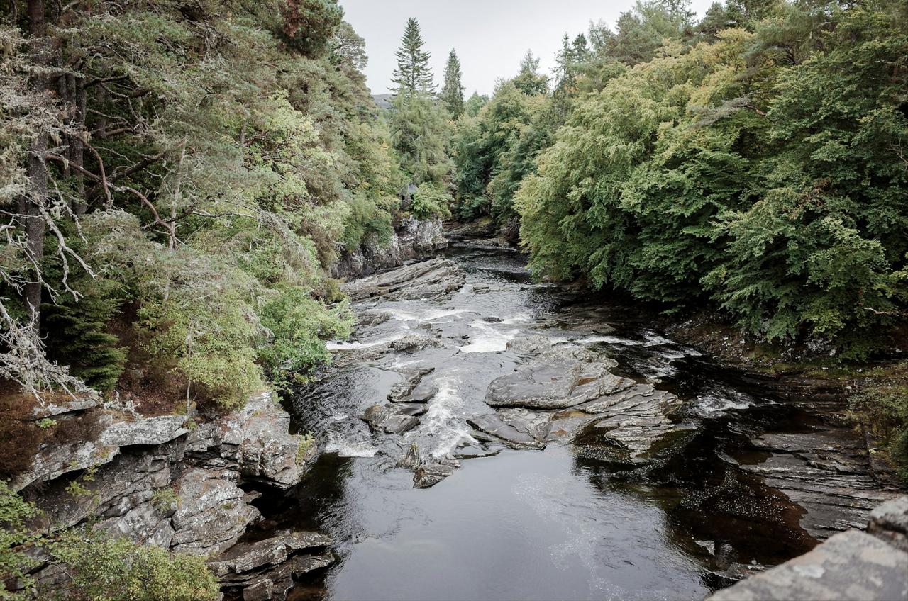 River, rocks and trees Mountain river flowing over rocks between trees